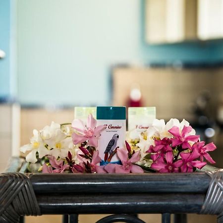 B&B Il Cenerino SantʼAntìoco Kültér fotó