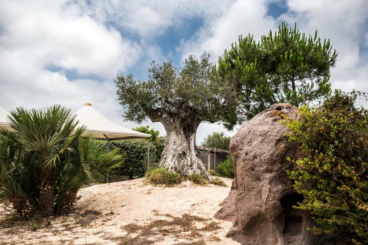 B&B Il Cenerino SantʼAntìoco Kültér fotó